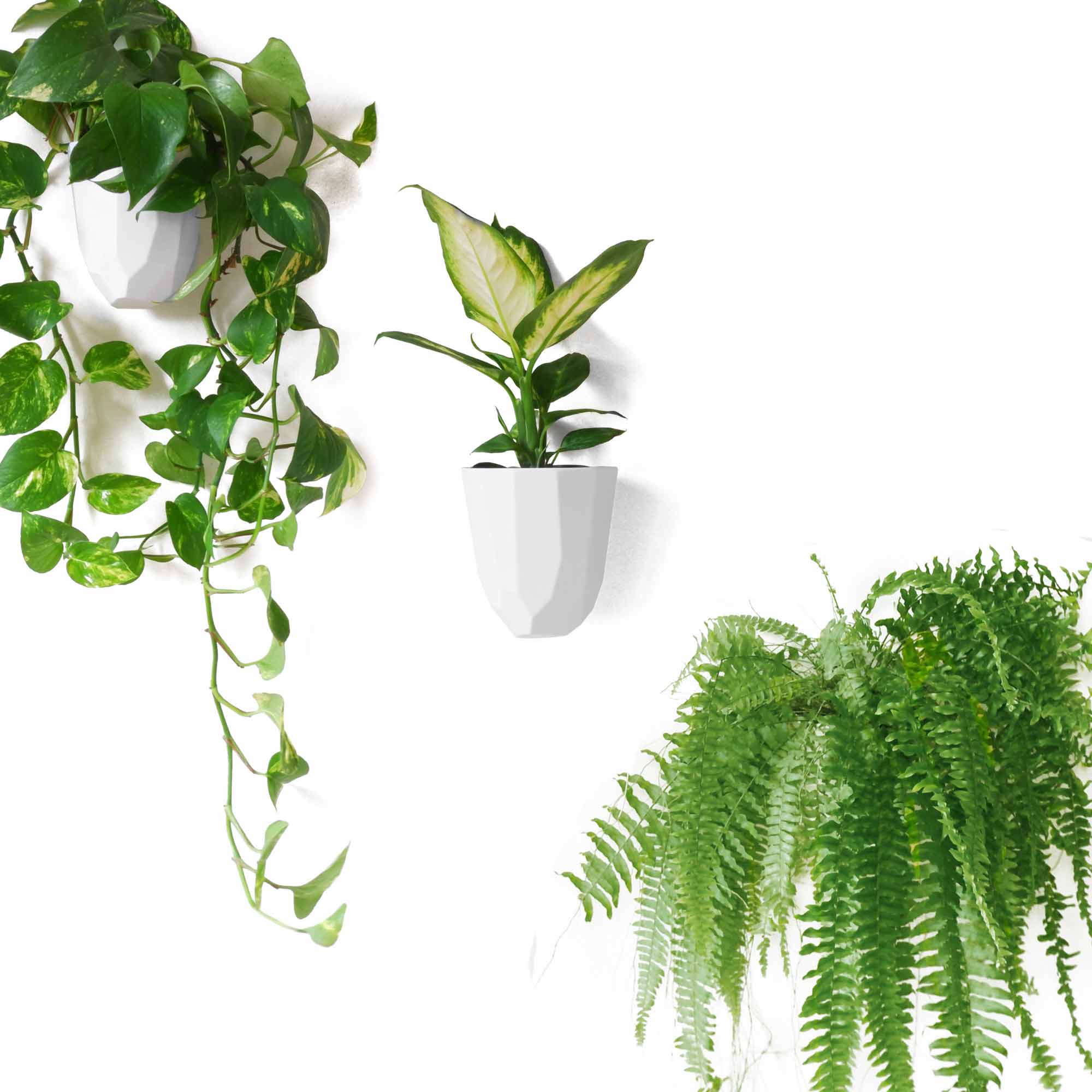 flat back hanging planter indoor Ivy Bronx Set Of 3 Geometric Wall Planters - Lightweight And Easy To Install - Design Your Own Vertical Garden