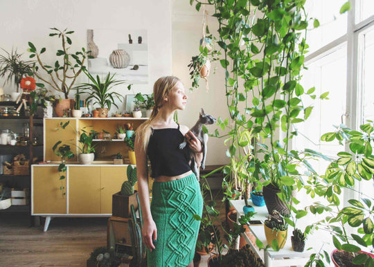 Plant Care 101 (The Ultimate Guide to Keeping Plants Alive)