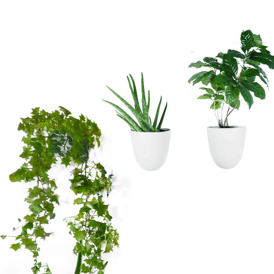 Wall Planters, Set of 3