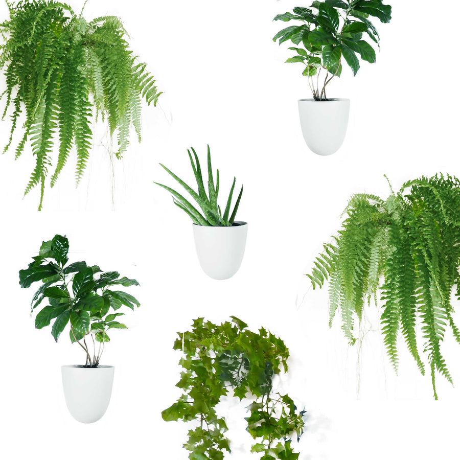 Wall Planters, Set of 6