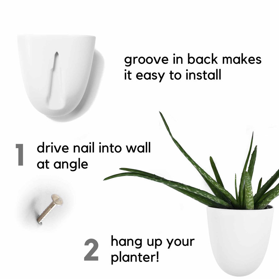 Wall Planters, Set of 6