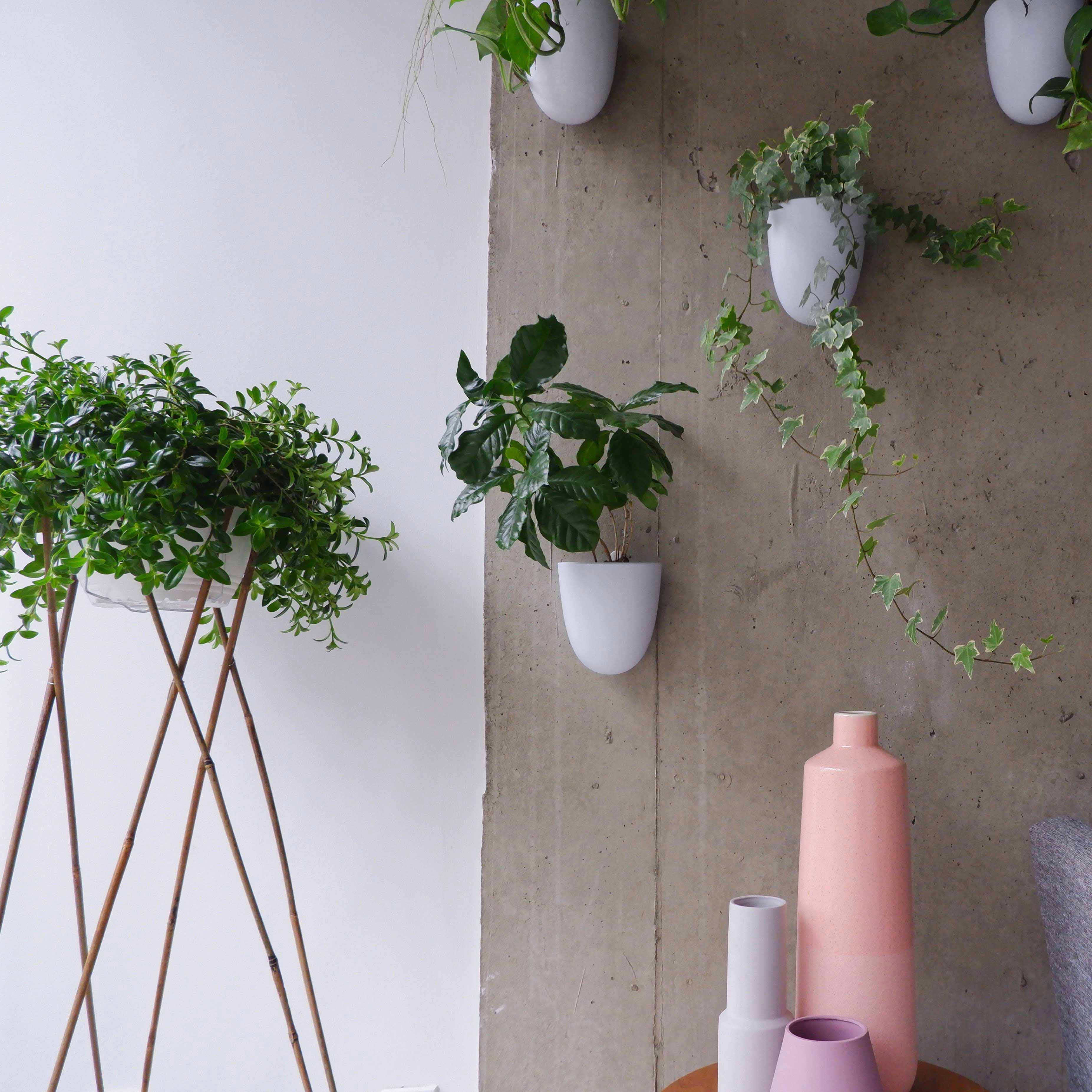 white wall mounted plant pots Wall Planters, Set of 6 – Make Good