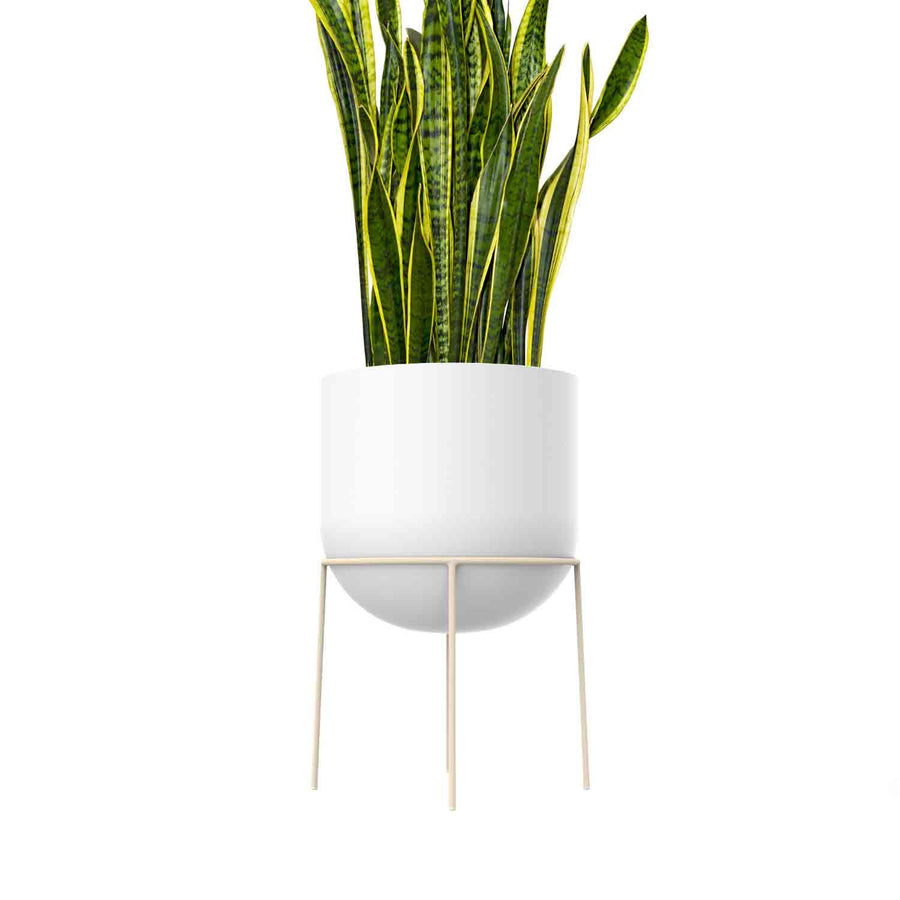 Plant Stand & Pot