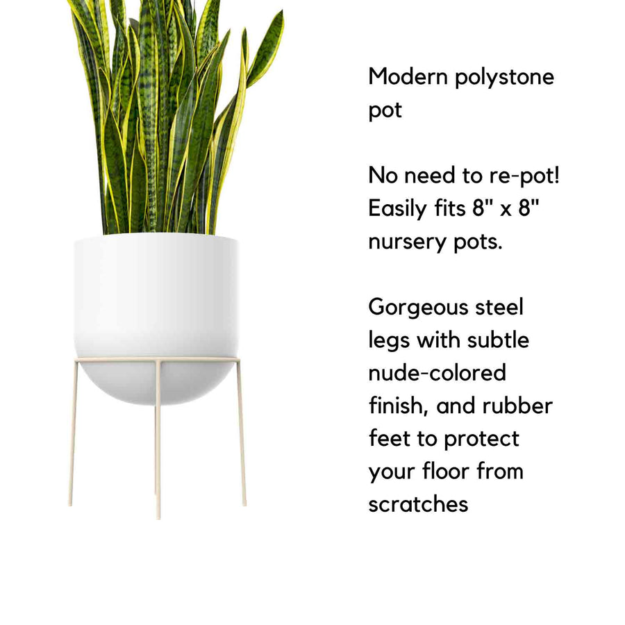 Plant Stand & Pot